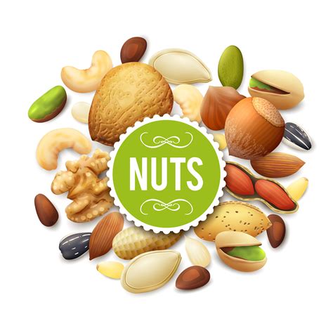 Nut Collection Illustration 462847 Vector Art At Vecteezy