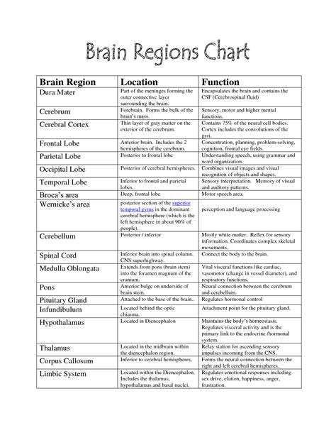Brain Functions Chart Brain Parts Ap Psychology