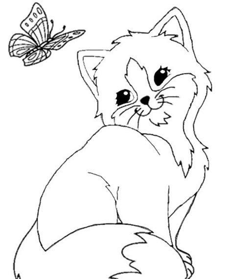 Mit diesen schönen malvorlagen können kinder schon mal üben. Ausmalbilder Schleich Pdf : Raccoon Adult Coloring Page ...