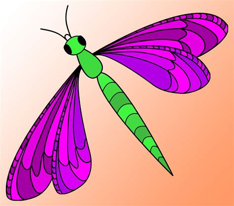 Dragonfly Clipart Colorful Clip Art Library