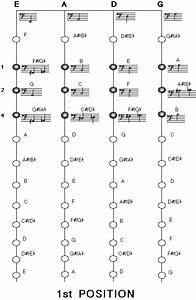  Charts For Common Upright Bass Technique Postions 1 6