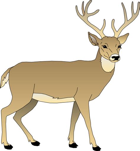Download Deer 5 Free Vector / 4Vector