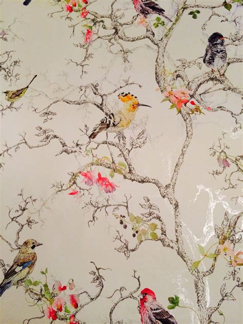 Bandq Wallpaper Birds I Love This One Neeeeeeeeeeeeed It Plant