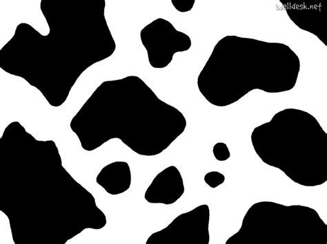 Free Cliparts Cow Print, Download Free Cliparts Cow Print png images