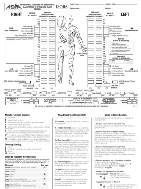 Asia International Standards For Neurological Classification Of Spinal