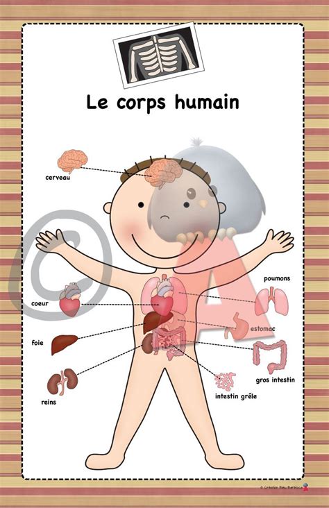 Corps Humain Garçon Homeschool Activities Ways Of Learning French