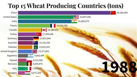 Top 15 Wheat Producing Countries 1961 2018 Data Is Magic Youtube