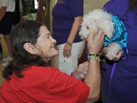 Therapy Dogs Bring Smiles To Faces