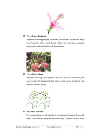 Perkembangbiakan Tumbuhan Generatif Pdf