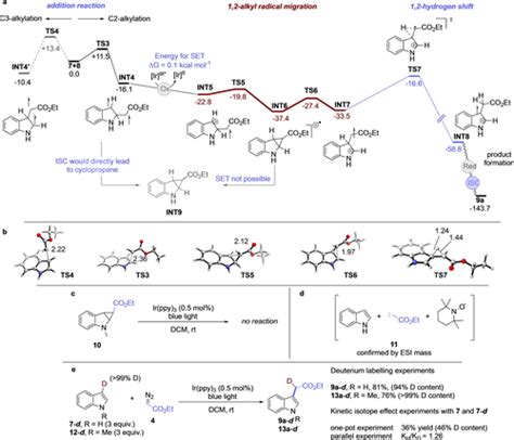 Ch Functionalization Of Heterocycles With Triplet Carbenes By Means Of