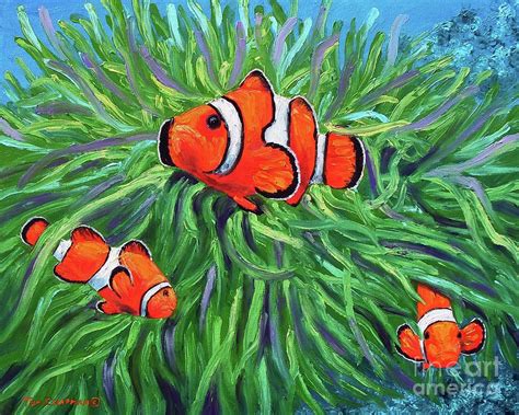 Sea Anemones And Clownfish Teach Besides Me