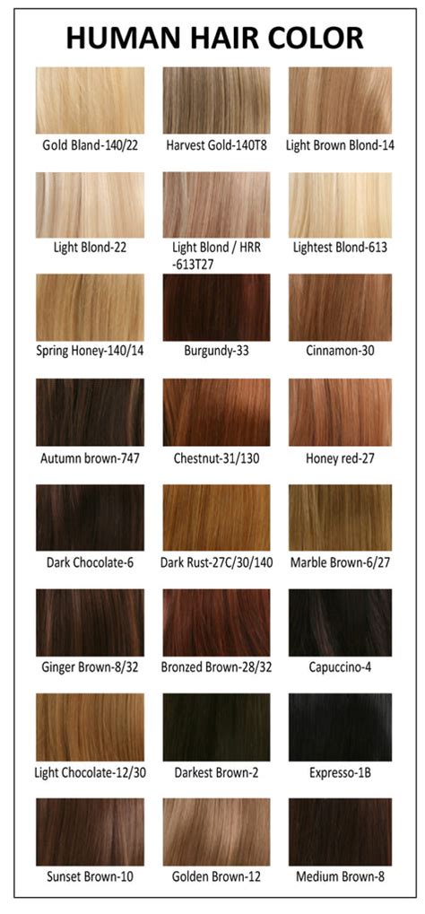 Ultimate Jon Renau Human Hair Color Chart La Wig Company Wig Colour