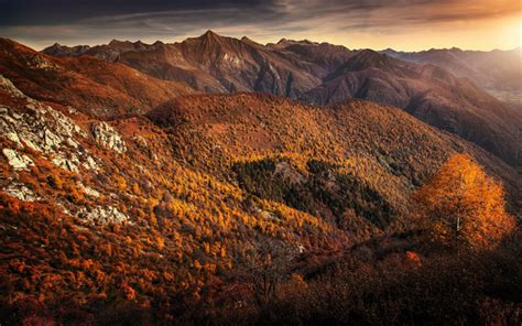 Download Wallpapers Autumn Mountain Landscape Sunset Yellow Trees