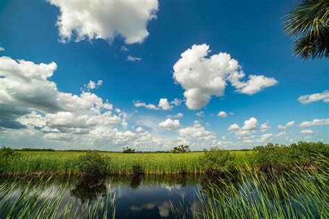 55 Reasons Why The Florida Everglades Are Special — Destination Wildlife
