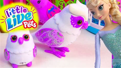 Little Live Pets Mommy Baby Owl Talking Singing Colorful ...