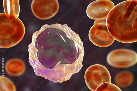 Monocyte Surrounded By Red Blood Cells 3d Illustration Stock