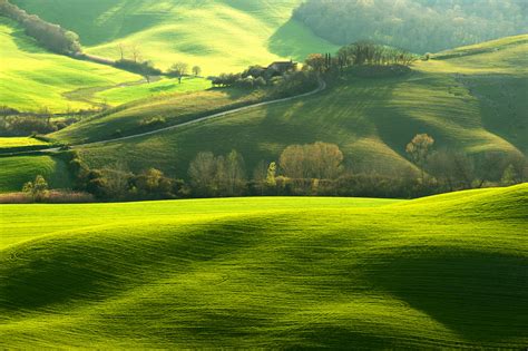 Green Land 85125664 Wallpapers