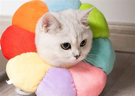 Cloth Cones For Cats Us Pets Love