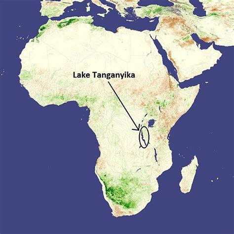 We did not find results for: File:Shows Lake Tanganyika in African continent.jpg - Wikimedia Commons