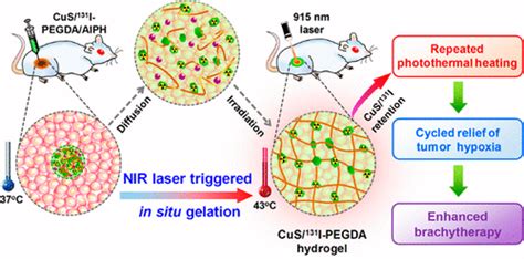 Near Infrared Triggered In Situ Gelation System For Repeatedly Enhanced Photothermal