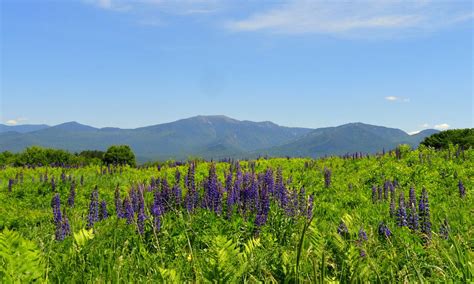 Celebrate and remember the lives we have lost in manchester, new hampshire. Sugar Hill - New Hampshire 6/11/12 | White mountains ...