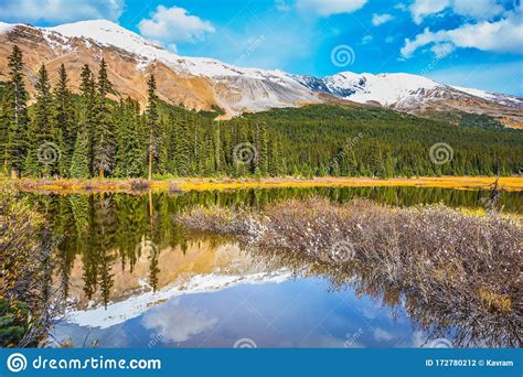 The Boggy Valley In Canada Stock Photo Image Of Tourism 172780212