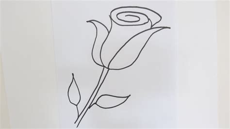 How To Draw A Rose Flower Easy Step By Step Drawing