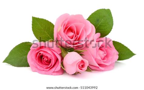 Beautiful Bouquet Pink Rose Flowers Isolated Stock Photo 511043992