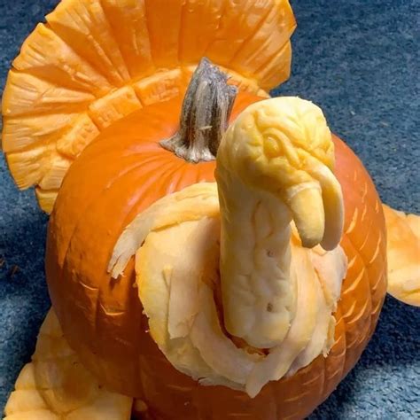 Turkey Pumpkin Carving Pumpkin Carving Pumpkin Carving