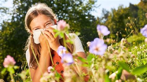 Allergies Acting Up Already Mild Winter To Blame For Early Pollen Release In Southern Ontario