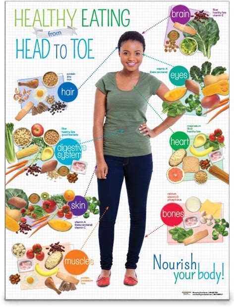 Nutrition Education Poster Adult Healthy Eating From Head