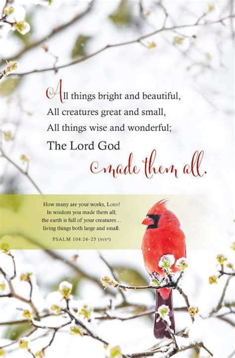 Shop The Word Bulletin All Things Bright And Beautiful Psalm 10424