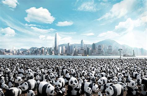 Panda Monium Hundreds Of Papier Mâché Pandas Descend On Hong Kong To