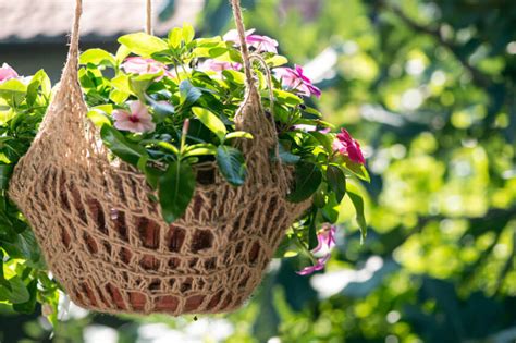 Free shipping on orders over $99 with arrive alive guarantee from the tree center. 70 Hanging Flower Planter Ideas (PHOTOS and TOP 10)