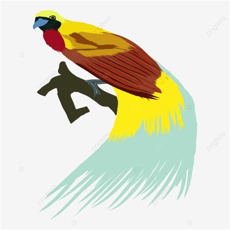 Bird Of Paradise Logo Illustration Vector Logo Bird Paradise Png And