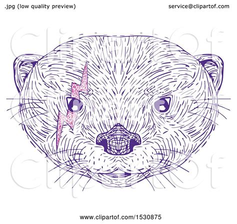 Clipart Of A Sketched Asian Small Clawed Otter Face With A