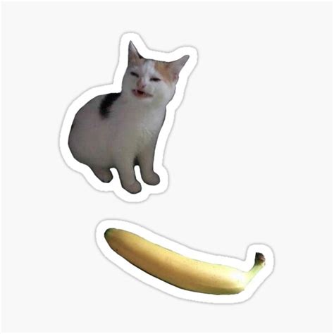 Cat No Banana Sticker By Stolas Ubicaciondepersonascdmxgobmx