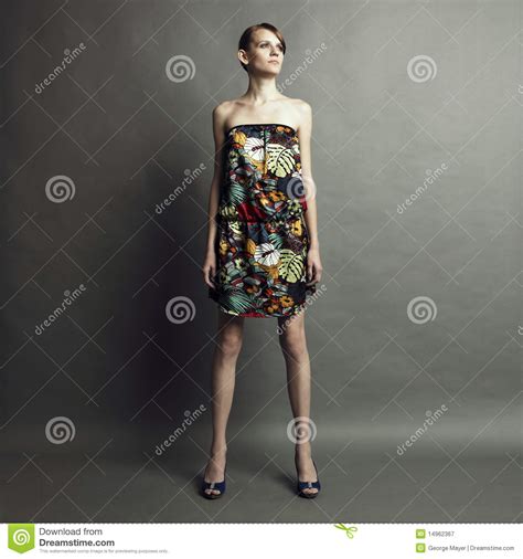 Menina Elegante No Vestido Imagem De Stock Imagem De Classe 14962367
