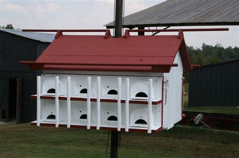 Building a bird house may sound easier said than done. Purple Martin House | Purple martin house, Martin bird house, Martin house