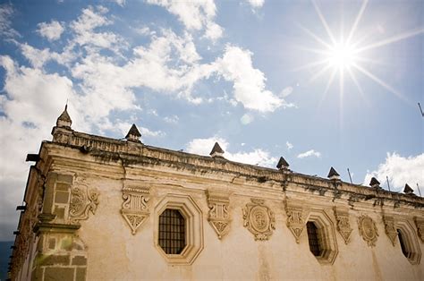 The kidneys of scyllium canicula are paired bodies in contact along the median line. Have you ever heard about "Canícula"