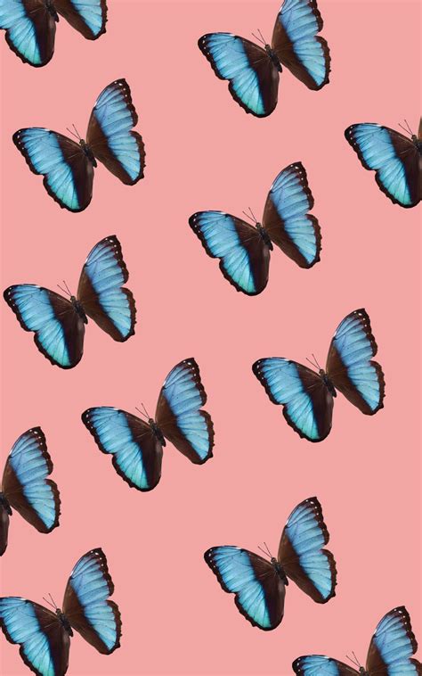 Aesthetic Backgrounds Butterfly Purple Butterfly