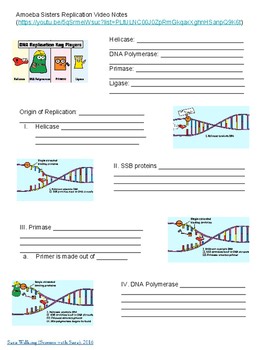 Genetic drift can cause a change in allele frequency in a population. Amoeba Sisters Alleles And Genes Quizlet - Amoeba Sisters ...