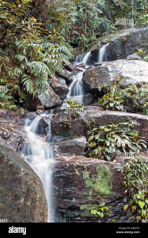 Waterfall In Tijuca Forest Hi Res Stock Photography And Images Alamy