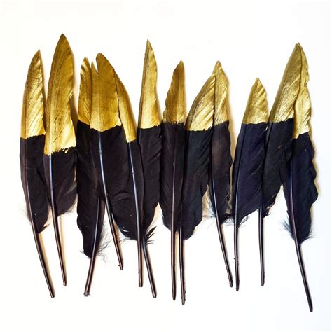 Gold Dipped Feathers Decorative Black Feathers Gold Tipped