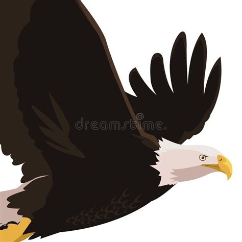 Bald Eagle Bird Flying Stock Vector Illustration Of Animal 138240242