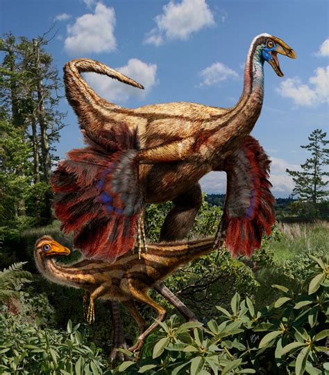 A New Look At Dinosaur Fossils Pushes Back The Evolution Of Feathered