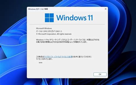Windows 11 Build 22621が22h2sv2のrtmビルドか ソフトアンテナ