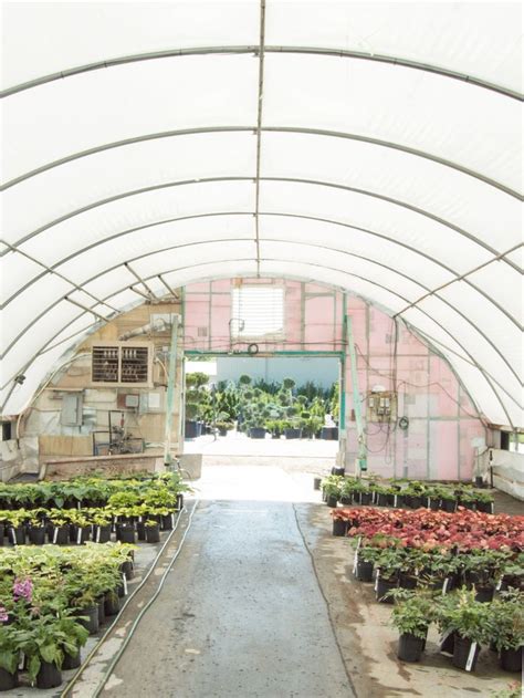 Mulhalls Garden Center Landscape Greenhouse