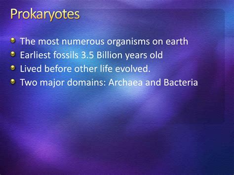 Ppt Prokaryotes And Viruses Powerpoint Presentation Free Download