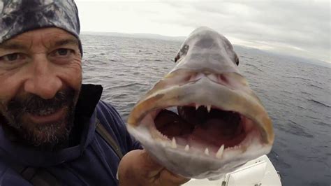 Italian Fishing Tv Lineaeffe Winner Session Sardinia Fishing Youtube